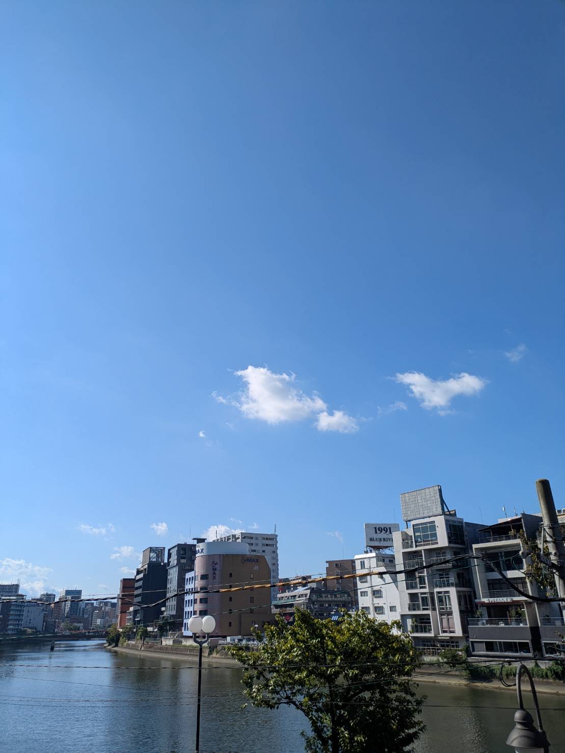 🧳出稼ぎ大歓迎！寮完備🧳