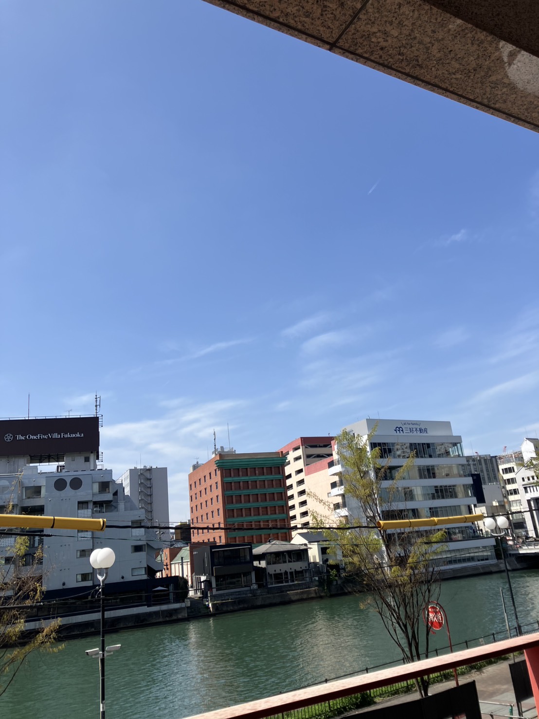 美味しい時間帯？？？